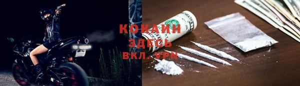 молекула духа Алексеевка
