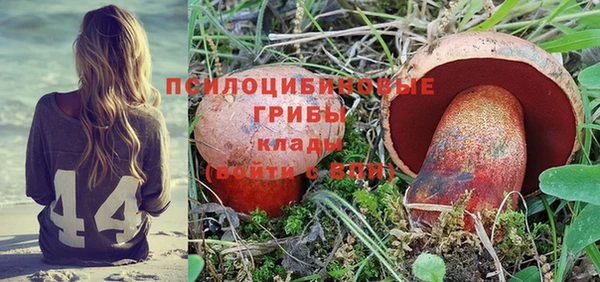 трава Алексин