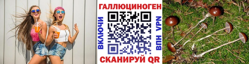 даркнет сайт  Прохладный  Псилоцибиновые грибы Magic Shrooms 